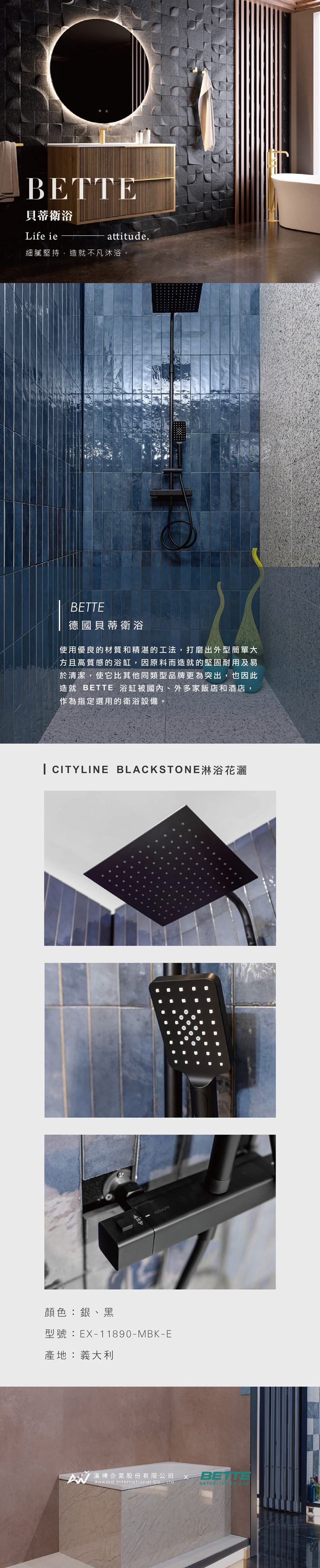 CITYLINE BLACKSTONE淋浴花灑