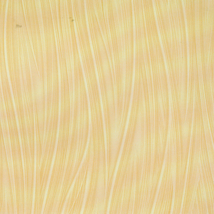 fs6684.jpg